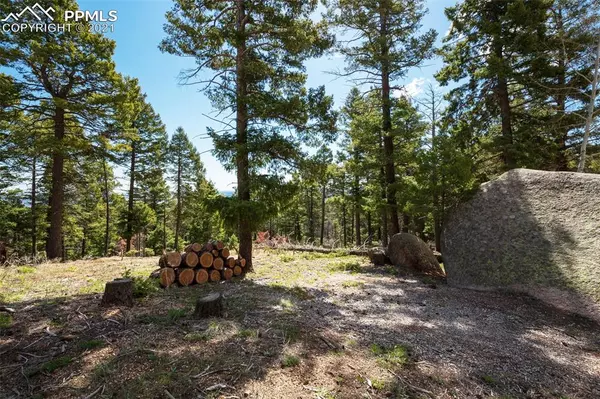 13850 Boulder LN, Larkspur, CO 80118