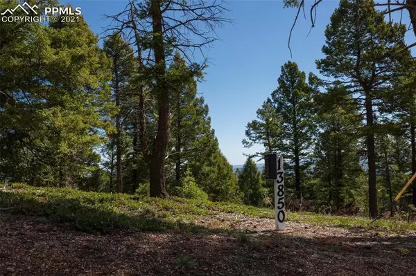 Larkspur, CO 80118,13850 Boulder LN