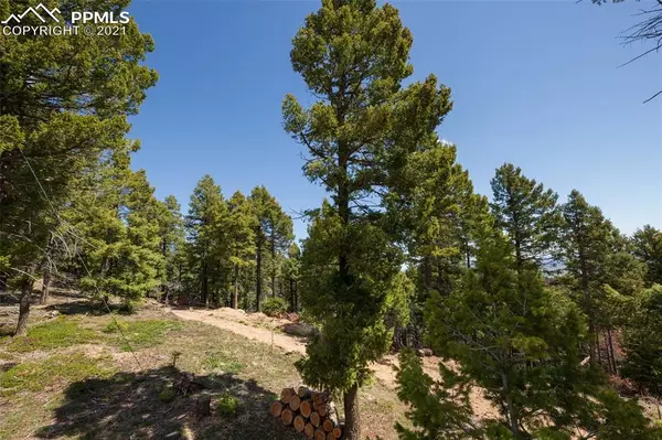 Larkspur, CO 80118,13850 Boulder LN