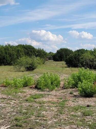 TBD - Lot 32 Farm to Market 934, Blum, TX 76627