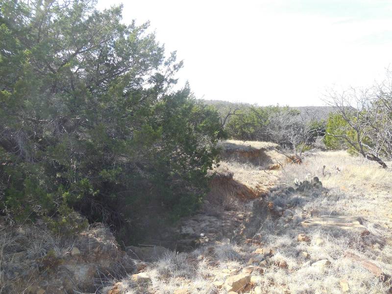 28.16 Acres Cr 136, Ranger, TX 76470