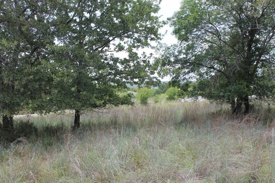 Lot 9 Demonbruen Court, Chico, TX 76431