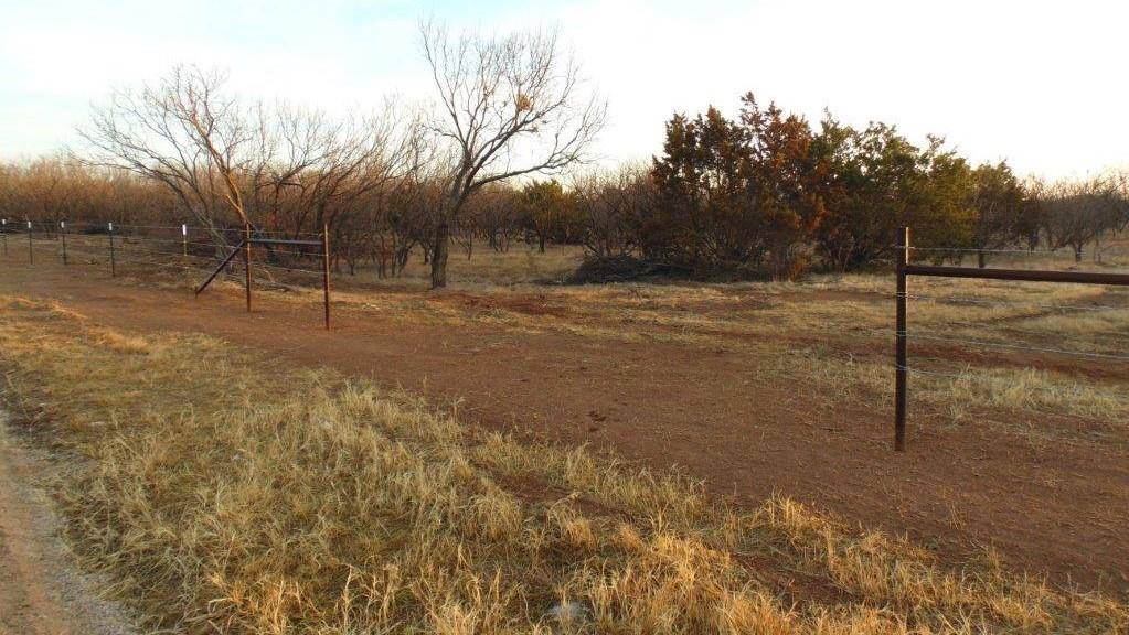 TBD 8 COUNTY ROAD 197, Ovalo, TX 79541