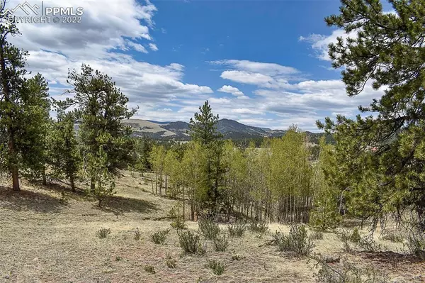 Guffey, CO 80820,422 Buck DR