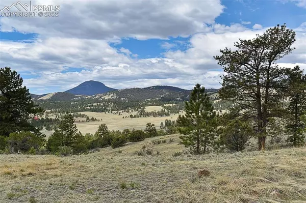 Guffey, CO 80820,422 Buck DR