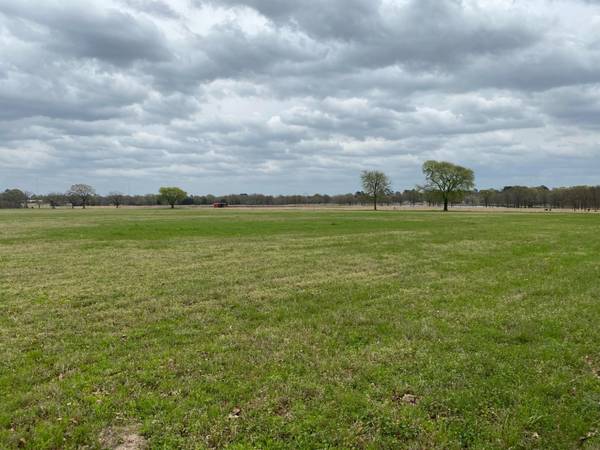 65567 FM 1504, Edgewood, TX 75117