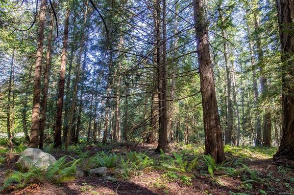 Pender Island, BC V0N 2M1,3202 Armadale Rd #Lot A