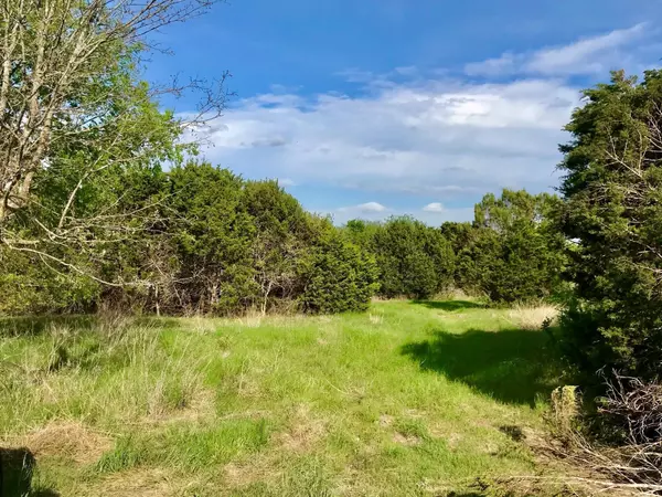 TBD Lot 30, Granbury, TX 76048