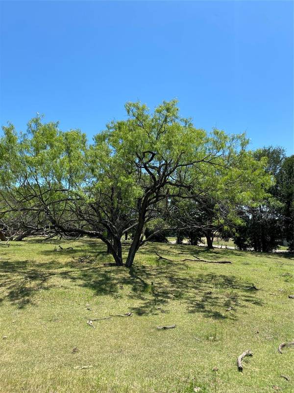 Lot 4 TBD Gin Road, Ennis, TX 75119