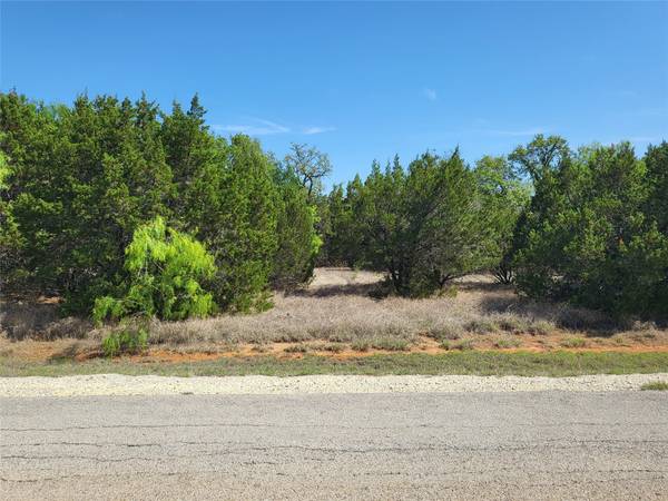 32039 Dove Trail, Whitney, TX 76692