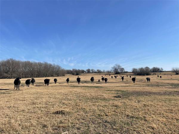 26700 County Road, Roxton, TX 75477