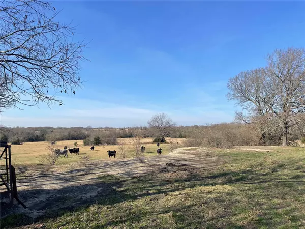 Roxton, TX 75477,26700 County Road