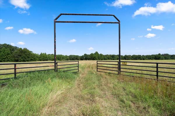 TBD County Road 1325, Bogata, TX 75417