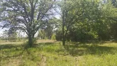 Sadler, TX 76264,1384 Big Mineral Road