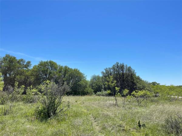 TBD County Road 146, Brownwood, TX 76801