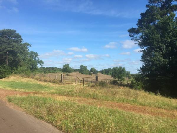 238 CR 4430, Pittsburg, TX 75686