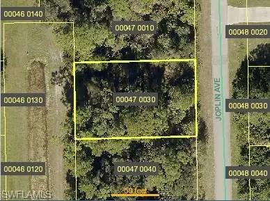 6053 Joplin AVE, Fort Myers, FL 33905