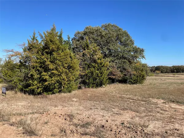 Decatur, TX 77623,Lot 7 Quail Ridge Developmen