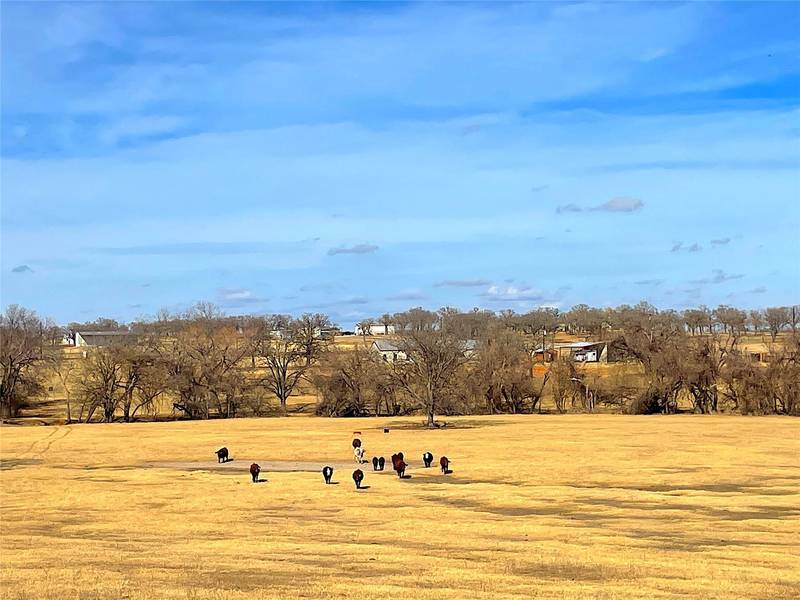 TBD Turpin Lake Road, Poolville, TX 76487