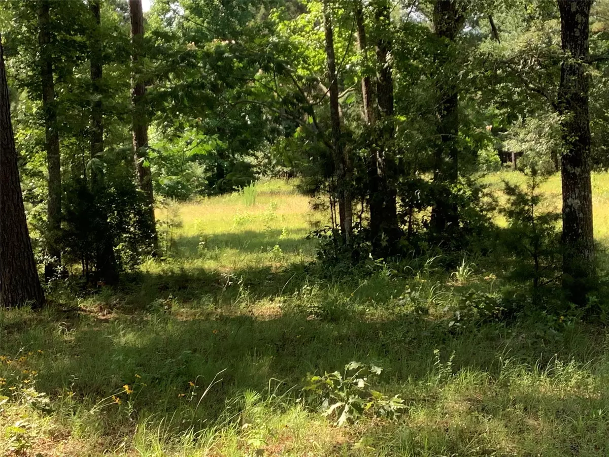 Plain Dealing, LA 71064,0 Mccauley