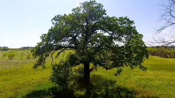 Graham, TX 76450,TBD2 Medlan Chapel Road