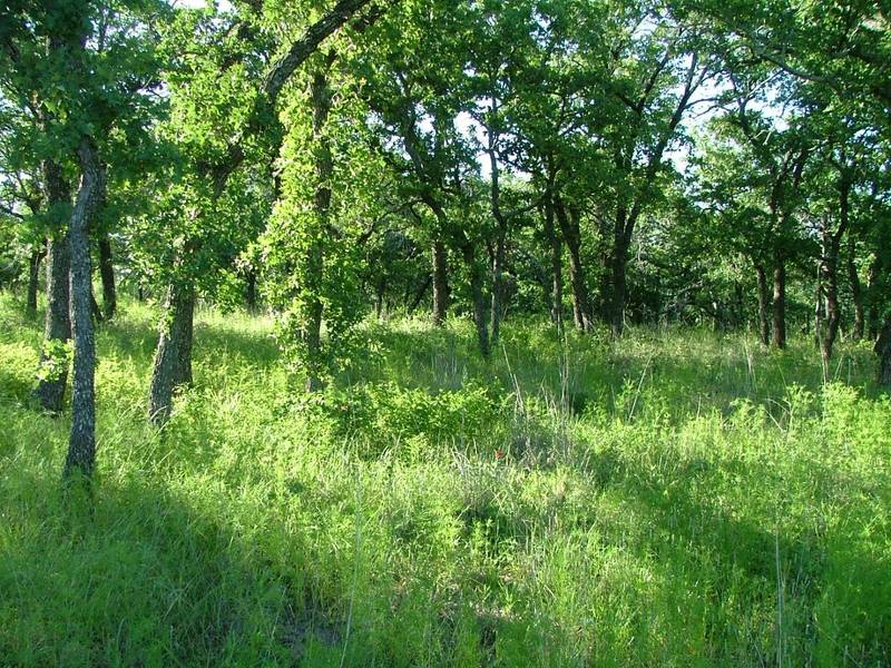 Lot 202 Ridgeline Drive, Chico, TX 76431