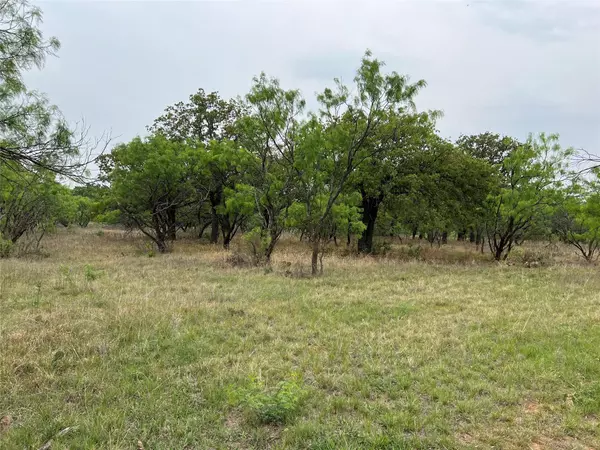 Eastland, TX 76448,TBD County Road 164