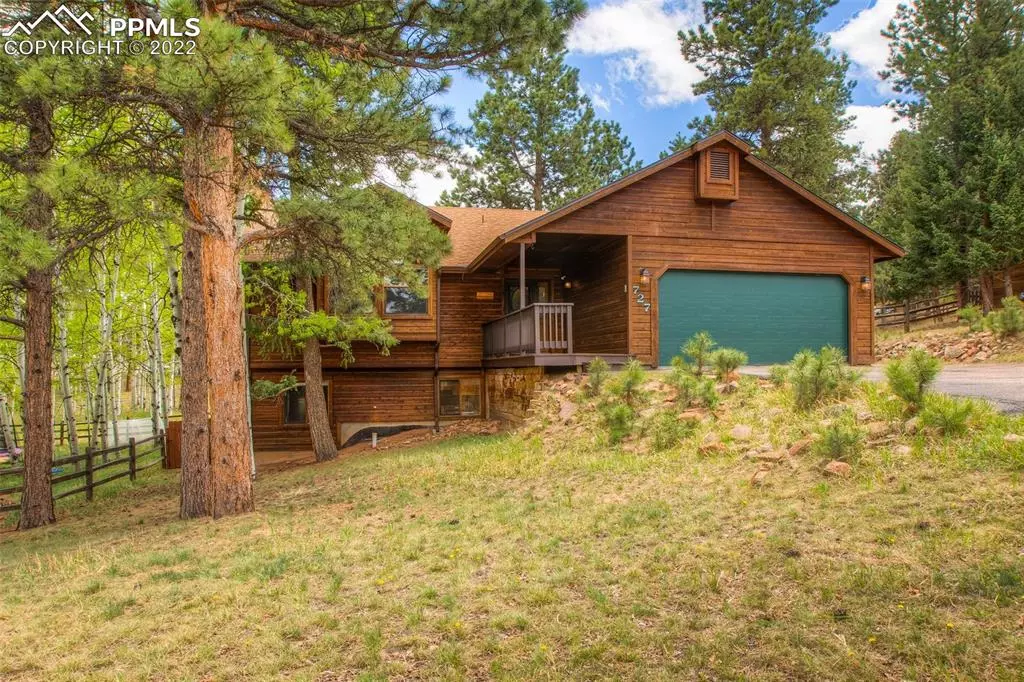 Woodland Park, CO 80863,727 Pinon Ridge DR