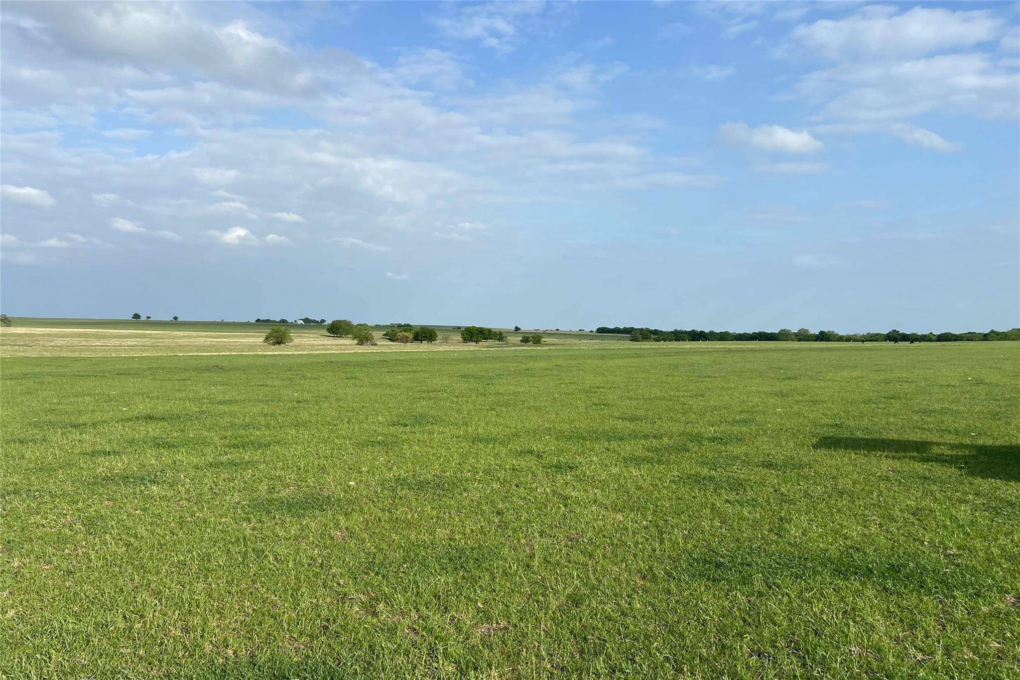 Muenster, TX 76252,TBD County Rd 440