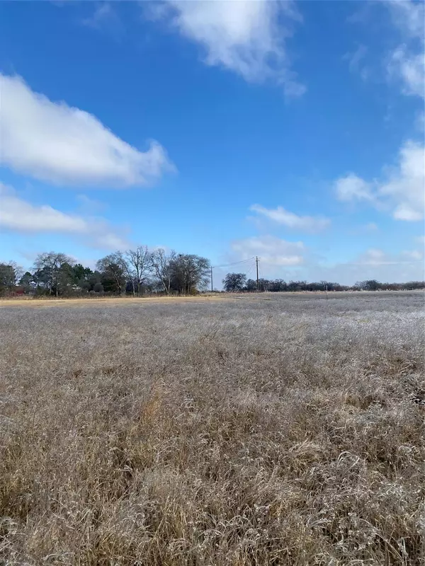 Saltillo, TX 75478,Lot 22 Farm Road 269 S