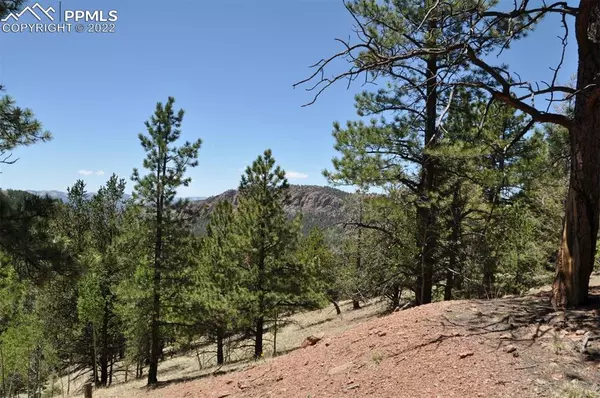 Cripple Creek, CO 80813,551 Troy DR