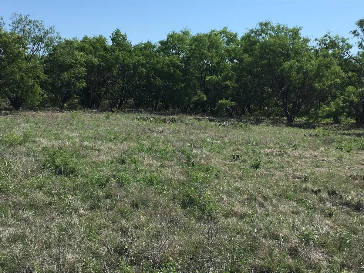 Cross Plains, TX 76443,13807 Fm 374