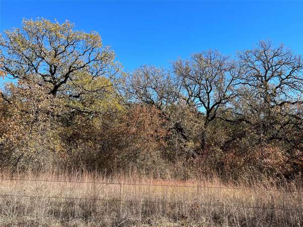 Tract 4 CR 102, Comanche, TX 76442