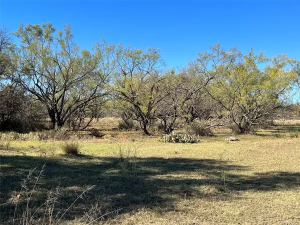 Comanche, TX 76442,Tract 4 CR 102