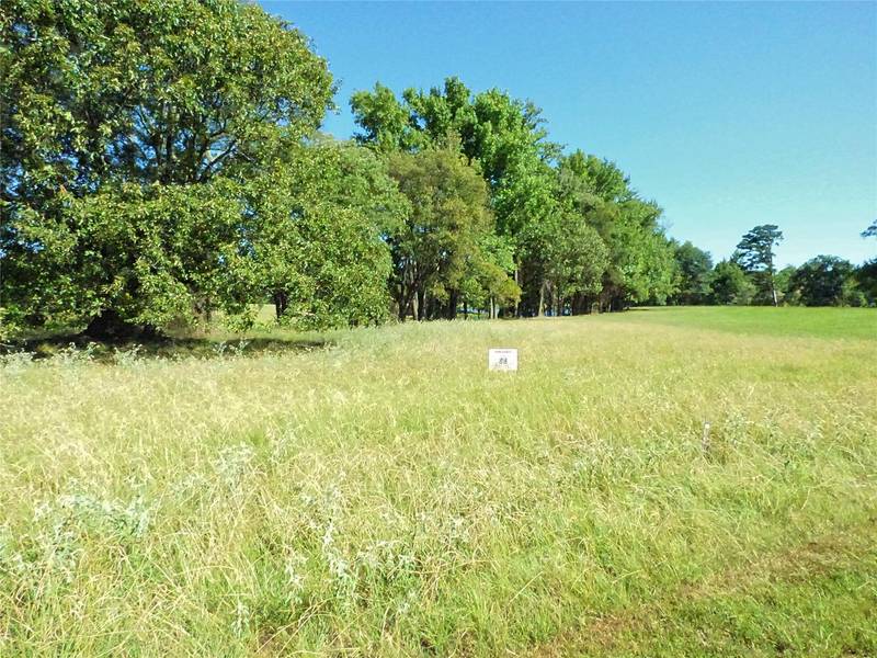 Lot 88 PR 2712, Mount Pleasant, TX 75455