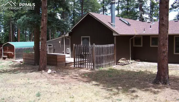 Woodland Park, CO 80863,125 Montana VIS