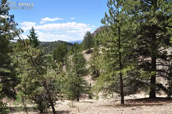 Cripple Creek, CO 80813,305 Midday CIR