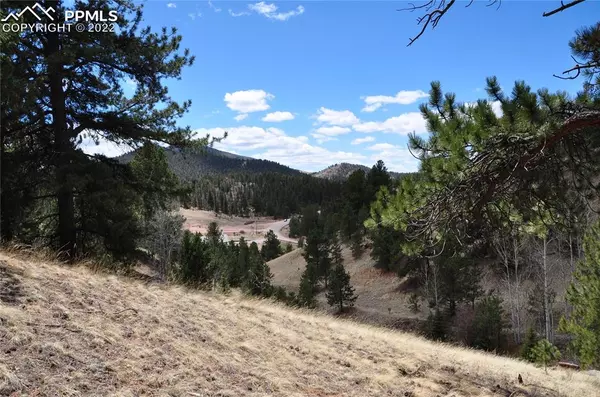 Cripple Creek, CO 80813,305 Midday CIR