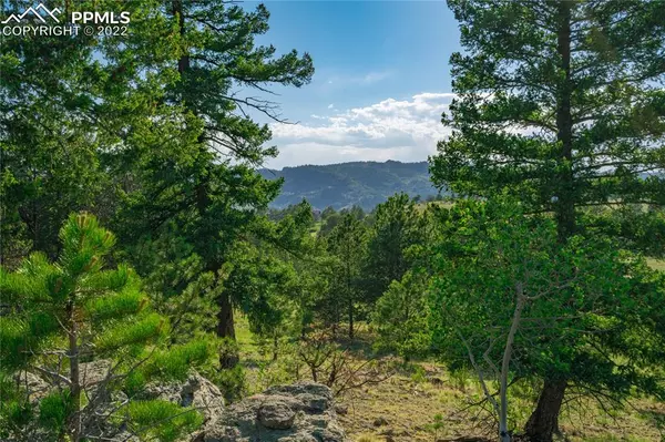 441 Crescent DR, Florissant, CO 80816