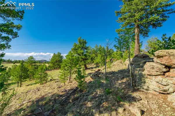 Florissant, CO 80816,441 Crescent DR