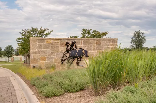 Aubrey, TX 76227,1924 Braided Mane Avenue