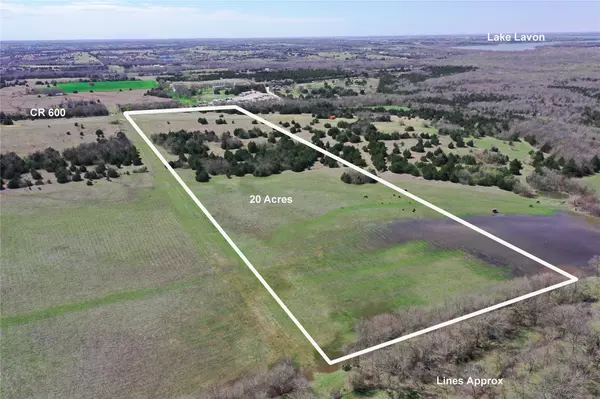 Farmersville, TX 75442,20 AC CR 600