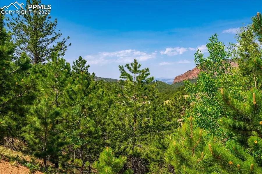 00 Wilson WAY, Cripple Creek, CO 80813