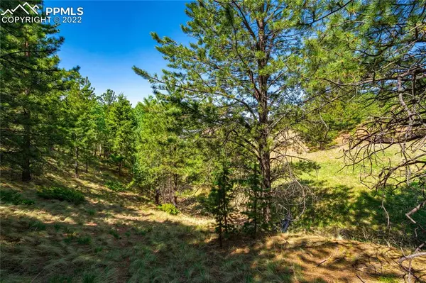 Cripple Creek, CO 80813,00 Wilson WAY