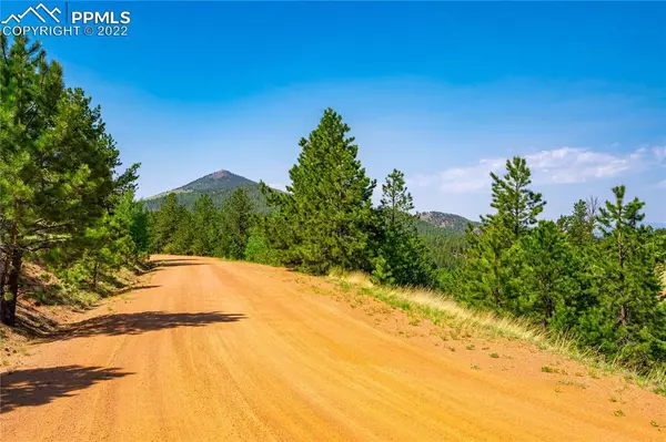 Cripple Creek, CO 80813,00 Wilson WAY