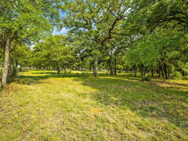 Mineral Wells, TX 76067,TBD FM 1195