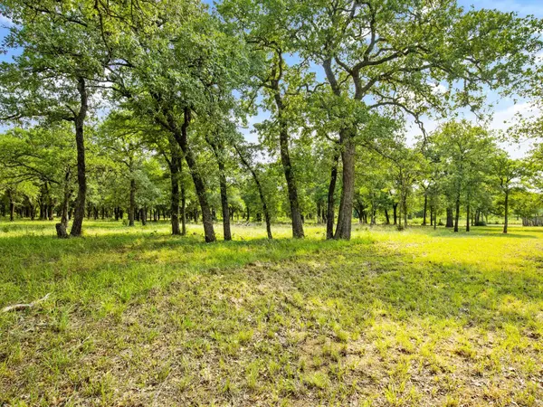 Mineral Wells, TX 76067,TBD FM 1195