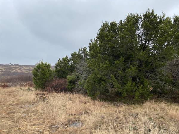 Lot 22 Glen Abbey Drive S, Possum Kingdom Lake, TX 76449