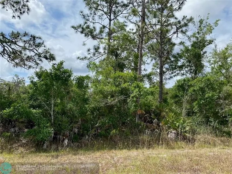 Lot 21 Silver Palm Drive, Other City - In The State Of Florida, FL 33855