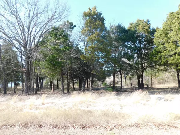 Kerens, TX 75144,L 55 Arrowhead Point